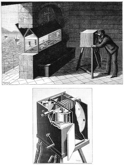 Etienne Jules Marey 1830-1903, mit Filmkamera, 1903 von Unbekannt
