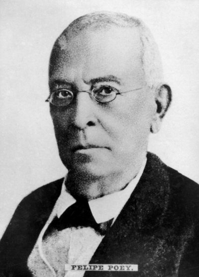 Felipe Poey 1799-1891, kubanischer Zoologe von Unbekannt