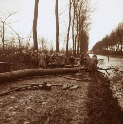 Bäume fällen, Noyon, Nordfrankreich, ca. 1914-1918 von Unbekannt