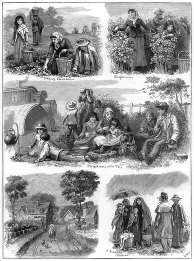 Obstsammler, 1899 von Unbekannt