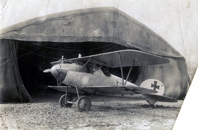 Deutscher Albatros DV, Souilly, Frankreich, 2. Januar 1918 von Unbekannt