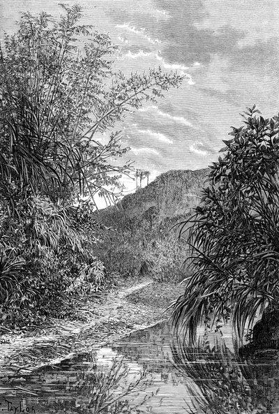 Hochlandlandschaft, Formosa, ca. 1890 von Unbekannt