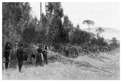 Hopfenernte bei Bairnsdale, Australien, 1886 von Unbekannt