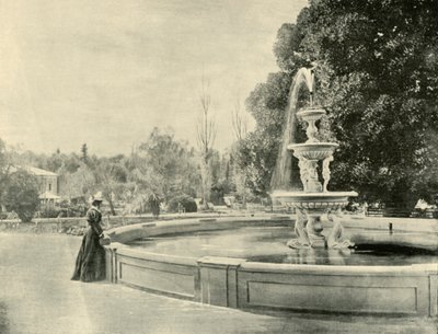 Im Botanischen Garten, Adelaide von Unbekannt