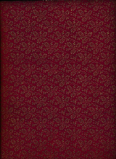 Innenmuster des Einbands, 1901 von Unbekannt