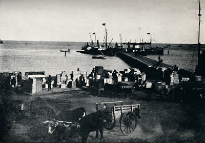 Landungsplatz, Punta Arenas, 1911 von Unbekannt