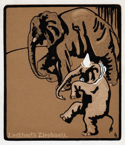 Lockharts Elefanten, 19. Jahrhundert von Unbekannt