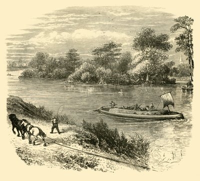 Magna Charta Insel, 1890 von Unbekannt
