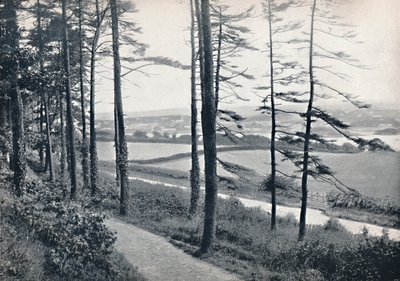Menai - Von Bangor Wood, 1895 von Unbekannt