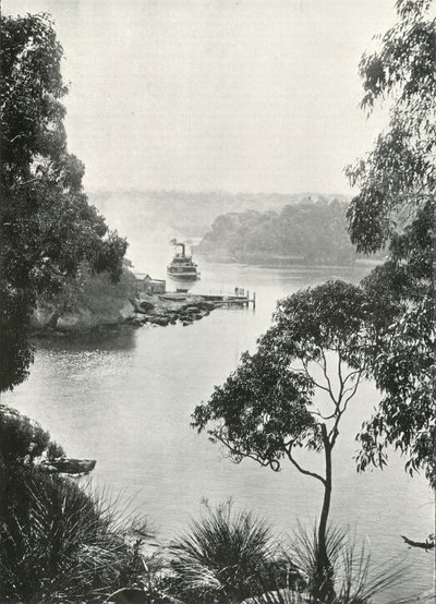 Mosmans Bay, vom Cremorne Steg, um 1900 von Unbekannt