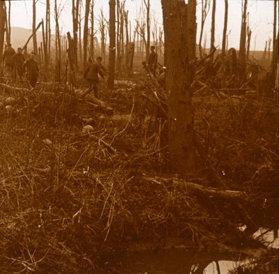 Kemmelberg, Flandern, Belgien, ca. 1914-1918 von Unbekannt