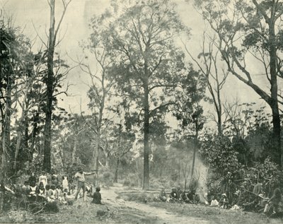 Einheimische Sportarten, Lake Tyers von Unbekannt