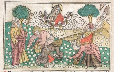 Nürnberger Bibel: Manna fällt vom Himmel, 1400er Jahre von Unbekannt