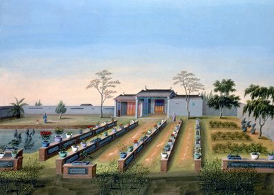 Baumschule, China, um 1820-1840 von Unbekannt