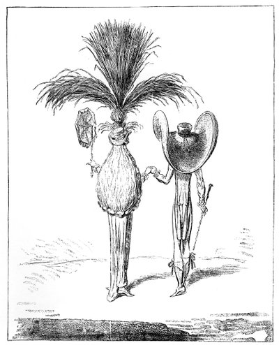 Sonnenschirme für 1795 von Unbekannt