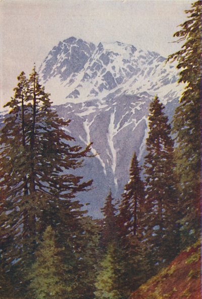 Gipfel im Himalaya, 1924 von Unbekannt
