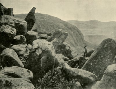Pinnacle & Orgelpfeifen, Mount Wellington, 1901 von Unbekannt