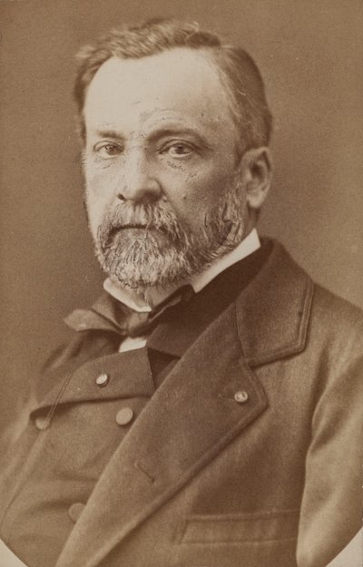 Porträt von Louis Pasteur 1822-1895, ca. 1870 von Unbekannt