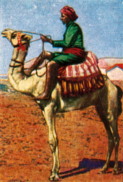 Postzustellung per Kamel, Arabien, um 1928 von Unbekannt
