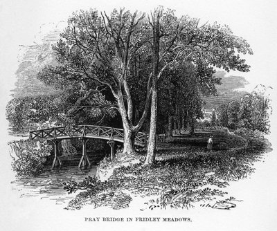 Pray Bridge in Fridley Meadows, Surrey, 19. Jahrhundert von Unbekannt