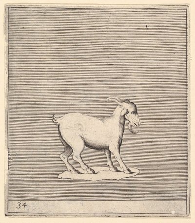 Widder, veröffentlicht ca. 1599-1622 von Unbekannt