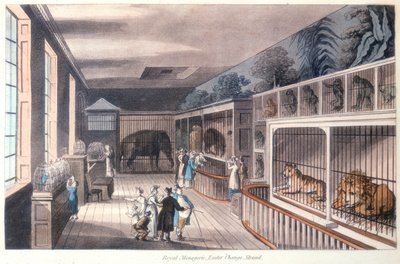 Königliche Menagerie, Exeter Change, Strand, London, um 1820 von Unbekannt