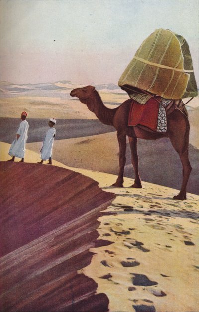Sahara, ca. 1930er von Unbekannt