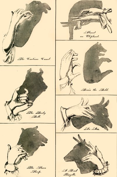 Schattenbilder und Silhouetten, 1883 von Unbekannt