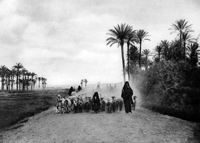 Schafe hüten in der Nähe von Kairo, Ägypten von Unbekannt