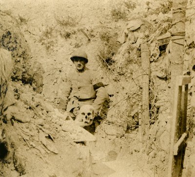 Schädel, der in den Schützengräben gefunden wurde, um 1914-1918 von Unbekannt