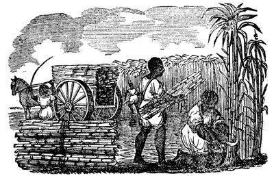 Sklaven bei der Zuckerrohrernte in Louisiana, 1833 von Unbekannt