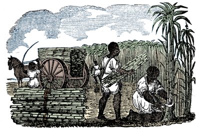 Sklaven bei der Zuckerrohrernte in Louisiana, 1833 von Unbekannt