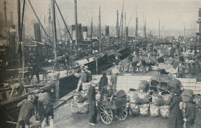 Die Heringssaison in vollem Gange von Unbekannt
