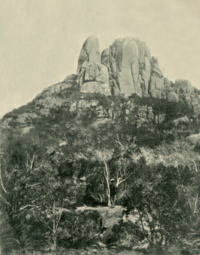 Der Buckel, Büffelberge, 1901 von Unbekannt