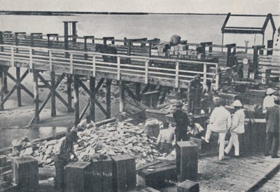 Die Perlenfischerei - Verpackung der Muscheln, 1923 von Unbekannt