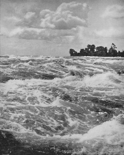 Die Stromschnellen oberhalb des American Falls, 19. Jahrhundert von Unbekannt