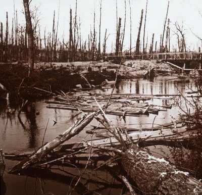 Der Fluss Ailette, Nordfrankreich (ca. 1914-ca. 1918) von Unbekannt