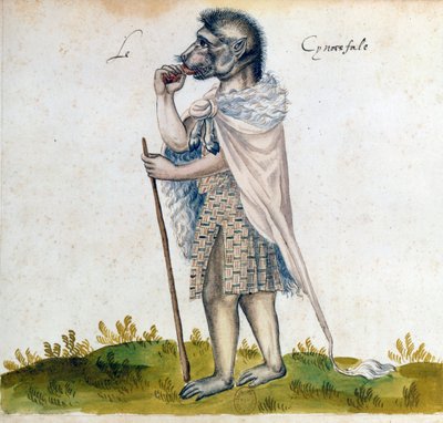Der Cynoscephalus, 15. Jahrhundert von Unbekannt