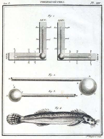 Thermometer von Unbekannt