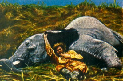 Trophäenjäger mit totem Elefanten, um 1928 von Unbekannt