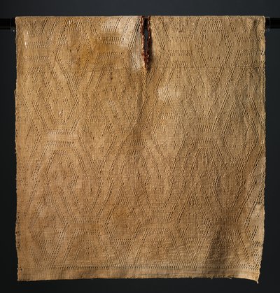 Tunika mit doppelköpfigen Schlangen, 400-200 v. Chr. von Unbekannt