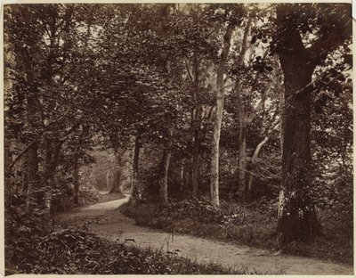 Ohne Titel Landschaft, frühe 1860er Jahre von Unbekannt