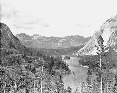 Tal des Bow River, Alberta, Kanada, ca. 1900 von Unbekannt