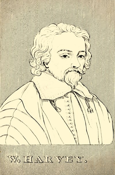 W. Harvey, 1578-1657, 1830 von Unbekannt