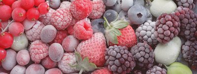 Gekühlte Beeren von Unbekannter Künstler