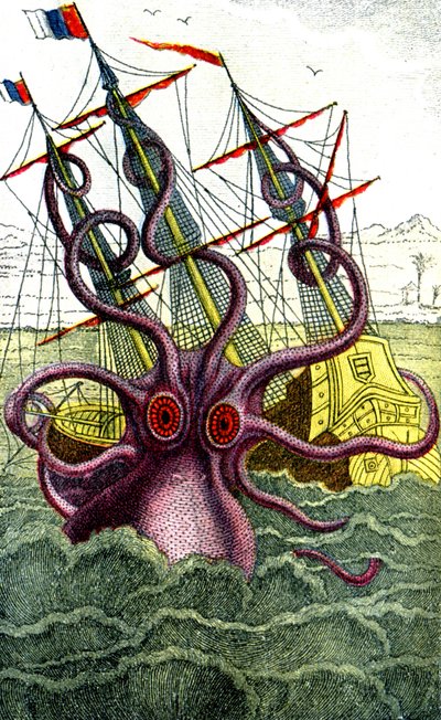 Riesenkalmar von Unbekannter Künstler