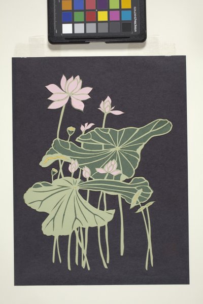 Lotus von Unbekannter Künstler