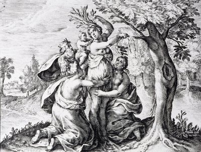 Mattei in Ovids Metamorphosen von Unbekannter Künstler