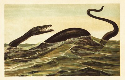 Mosasaurus hoffmannii, ausgestorbenes aquatisches Reptil. 1908 (Lithografie) von Unbekannter Künstler