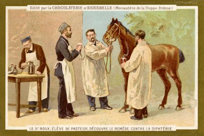 Pierre Paul Émile Roux von Unbekannter Künstler